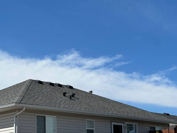 Professional Roofing Service in Meadowood, PA